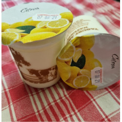 Yaourt - Citron 🍋