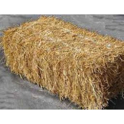 Botte de paille 12kg