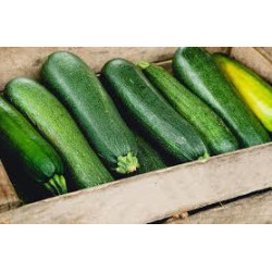 Courgette