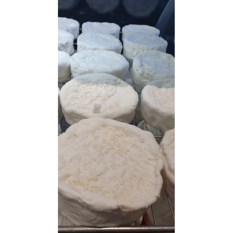 Camembert fermier au lait cru entre 2 Camembert fermier au lait cru entre 2