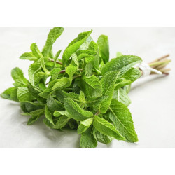 🍃 Menthe verte (Bio)