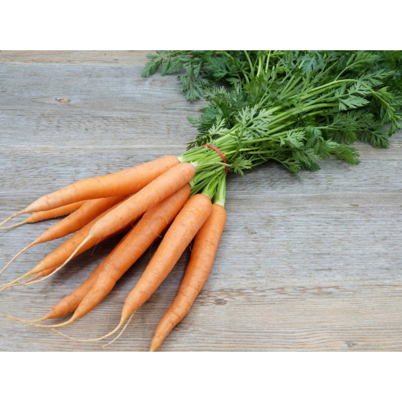 🍃 Carottes nouvelles (Bio)