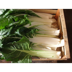 Carde Botte 1kg