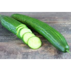 Concombre long