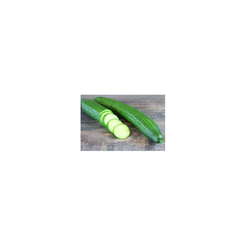 Concombre long Concombre long
