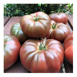 Tomate Noir de Crimée