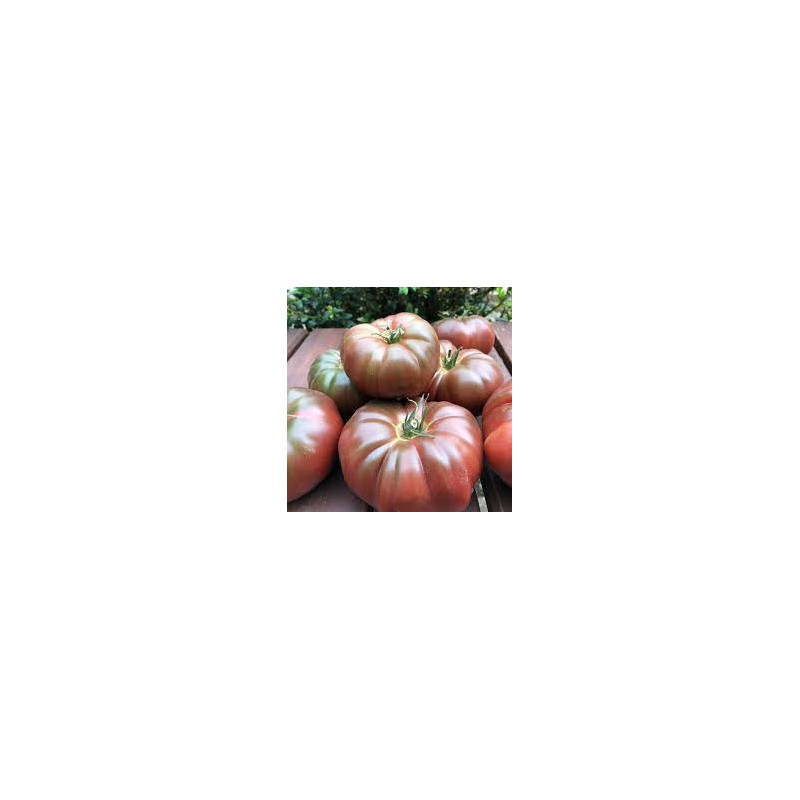 Tomate Noir de Crimée Tomate Noir de Crimée