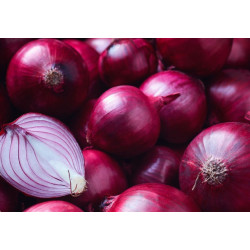 Oignons Rouge (1kg)