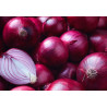 Oignons Rouge (1kg)