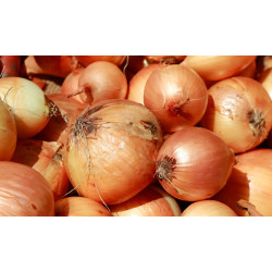 Oignons Jaune (1kg)