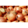 Oignons Jaune (1kg)