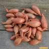 Echalotte longue (250g)