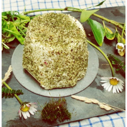 Fromage frais fines herbes