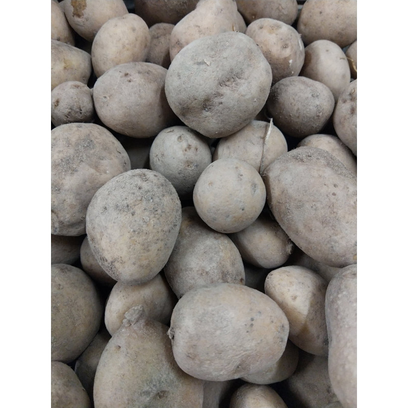 🍃 Pomme de terre 1kg (Bio)
