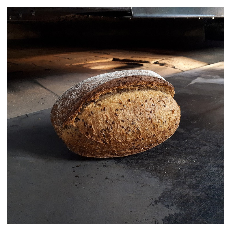 đPain au lin (Bio) đPain au lin (Bio)