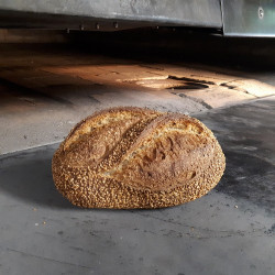 🍃Pain au Sésame (Bio)
