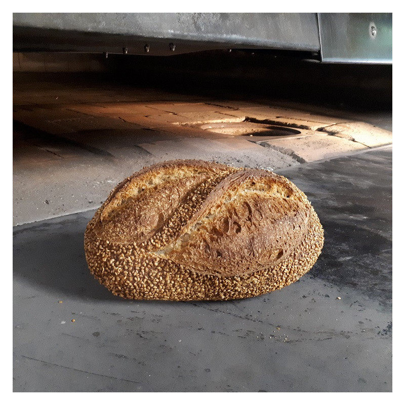 đPain au SĂ©same (Bio) đPain au SĂ©same (Bio)