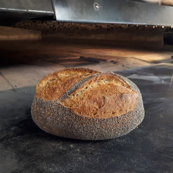 🍃Pain au Pavot (Bio)