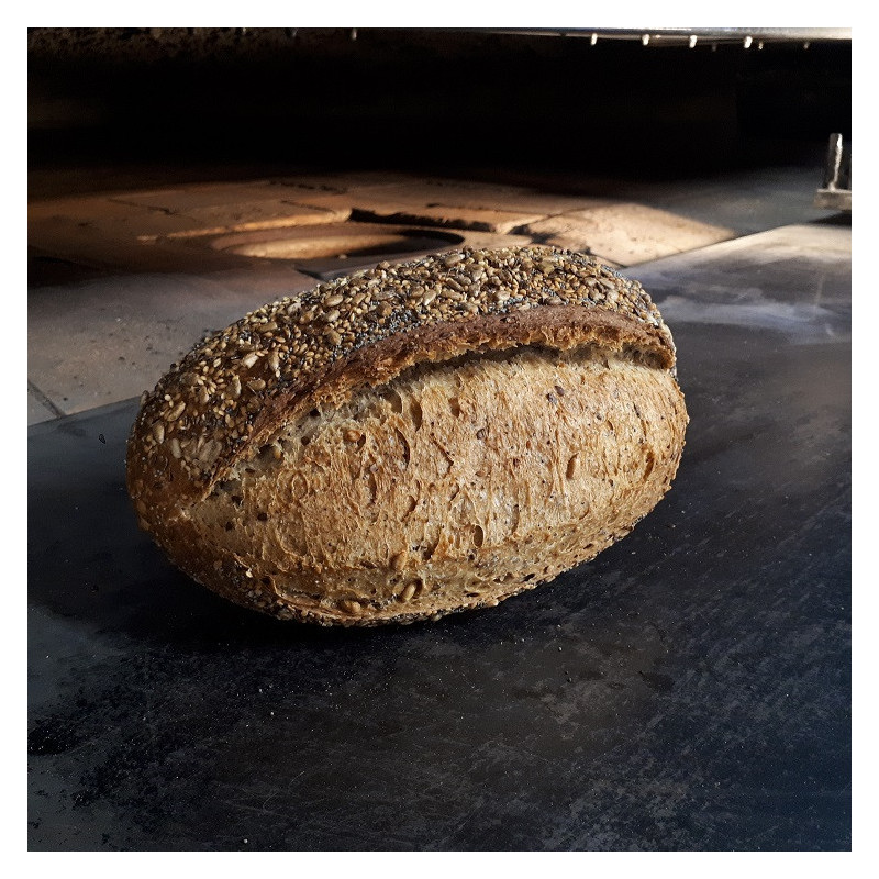 đPain aux Graines (Bio) đPain aux Graines (Bio)