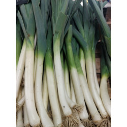 🍃 Poireaux 2kg