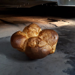 🍃Brioche moyenne (Bio)