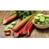 Rhubarbe 500g