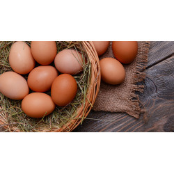 🍃Oeufs biologiques