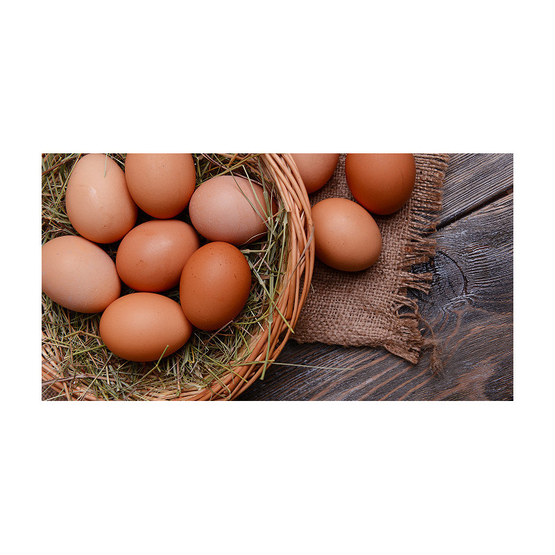 🍃Oeufs biologiques 🍃Oeufs biologiques