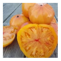 Tomate Ananas 1kg