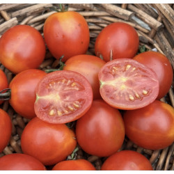 🍃 Tomate cerise 250g (Bio)