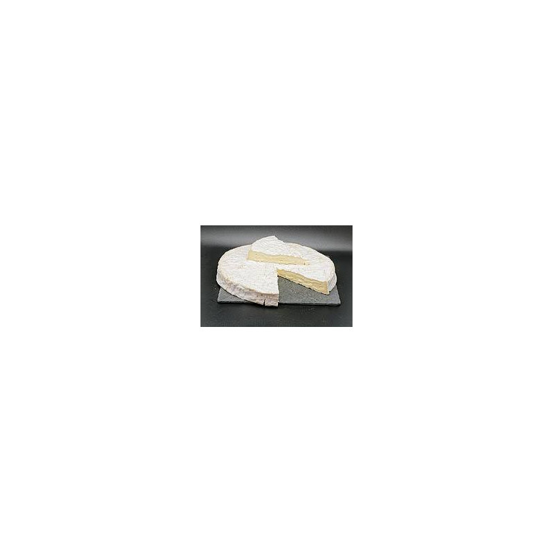 Brie de meaux