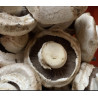 Champignon galipette 500g