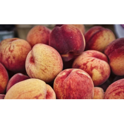 Pêche jaune Provence 1kg