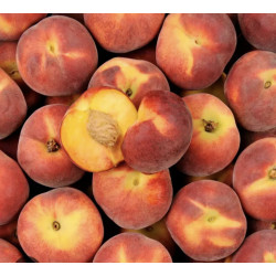 Nectarine 1kg