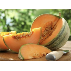 Melon St Mathurin