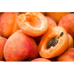 Abricot 500g