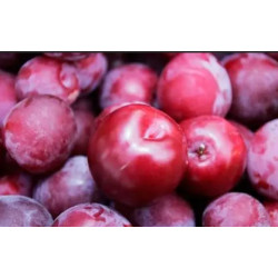 Prune rouge 500g