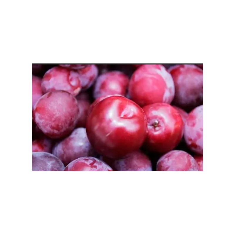 Prune rouge 500g Prune rouge 500g