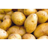 🍃Pommes de terre nouvelles 500g (Bio)