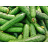 🍃Concombre long (Bio)