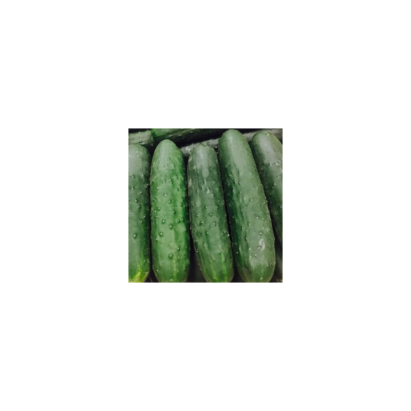 đConcombre akito (Bio) đConcombre akito (Bio)
