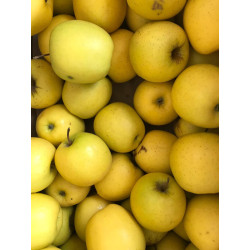 Pomme Golden