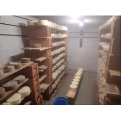 🍃Tomme Marguerite d'Anjou (Bio)