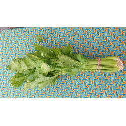 🍃Céleri branche (Bio)