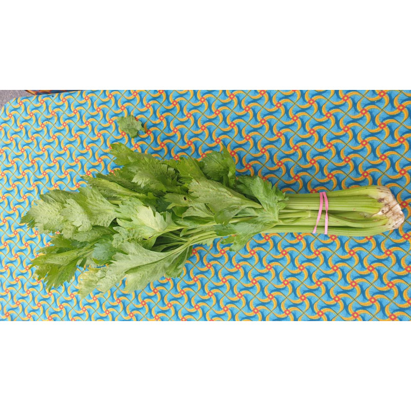 đCĂ©leri branche (Bio) đCĂ©leri branche (Bio)