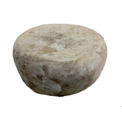 Fort d'érable
