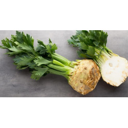 🍃Celeri rave 1kg (Bio)