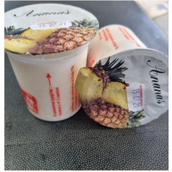 Yaourt - Ananas🍍