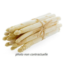 Asperges blanches botte
