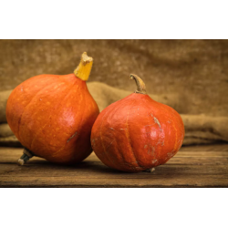 🍃 Potimarron 1kg (Bio)